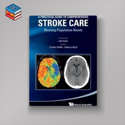 A Practical Guide to Comprehensive Stroke Care: Meeting Population Needs (Original PDF from Publisher)