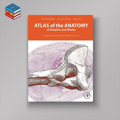 Atlas of the Anatomy of Dolphins and Whales (EPUB)