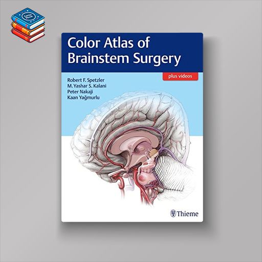 Color Atlas of Brainstem Surgery (EPUB)