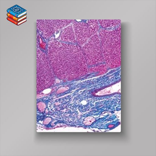 Current Topics in Gastrointestinal and Liver Pathology 2023 (John Hopkins) (Videos)