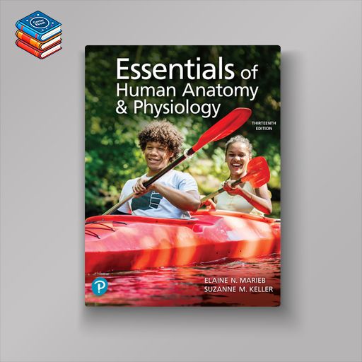 Essentials of Human Anatomy & Physiology