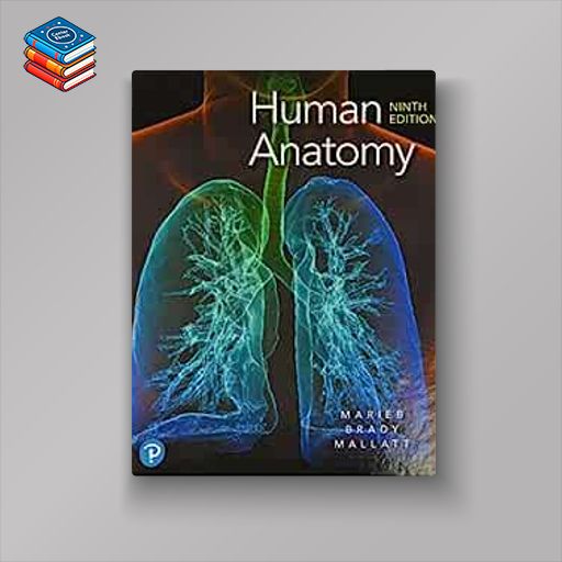 Human Anatomy