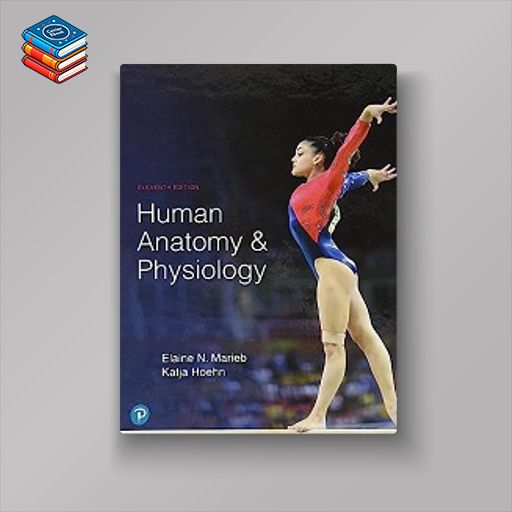 Human Anatomy & Physiology