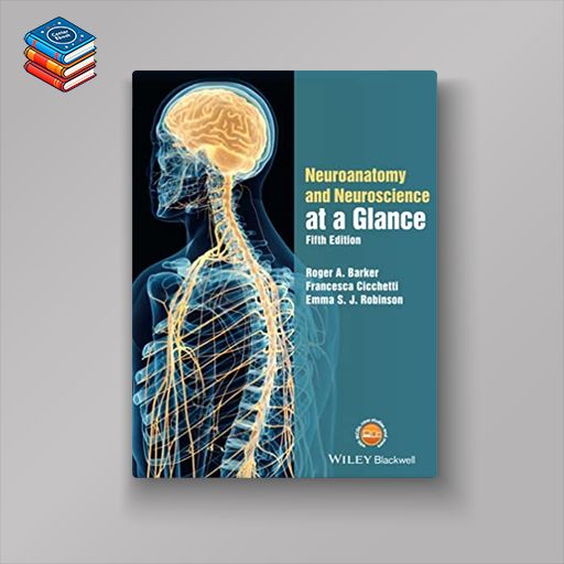 Neuroanatomy and Neuroscience at a Glance