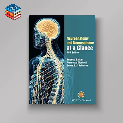 Neuroanatomy and Neuroscience at a Glance