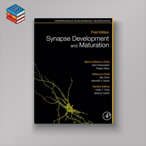 Synapse Development and Maturation: Comprehensive Developmental Neuroscience (EPUB)