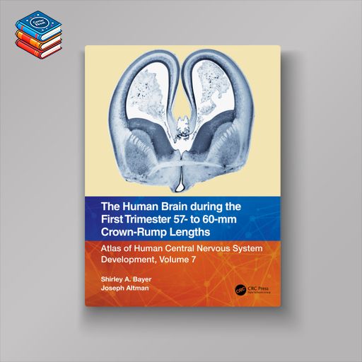 The Human Brain during the First Trimester 57- to 60-mm Crown-Rump Lengths: Atlas of Human Central Nervous System Development