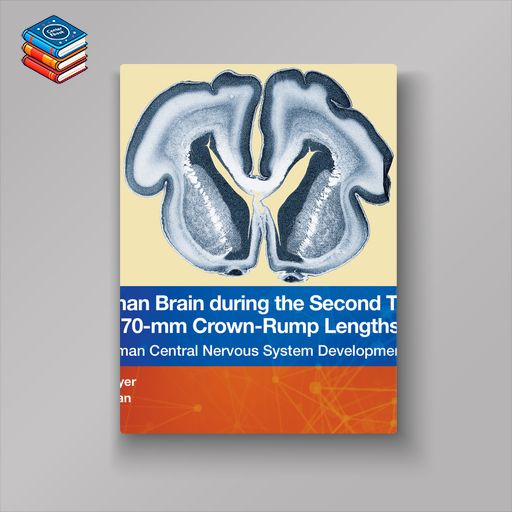 The Human Brain during the Second Trimester 160– to 170–mm Crown-Rump Lengths: Atlas of Human Central Nervous System Development