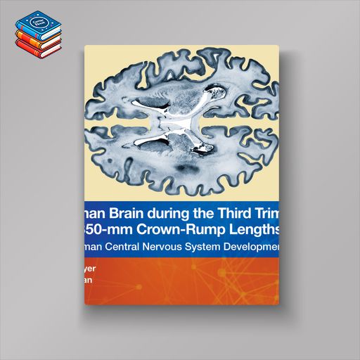 The Human Brain during the Third Trimester 310– to 350–mm Crown-Rump Lengths: Atlas of Central Nervous System Development